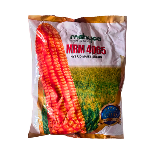 MRM-4065 Maize Seeds - Mahyco | F1 Hybrid | Buy Online at Best Price