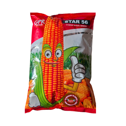 Star-56 Maize Seeds - Star Agrotech | F1 Hybrid | Buy Online at Best Price