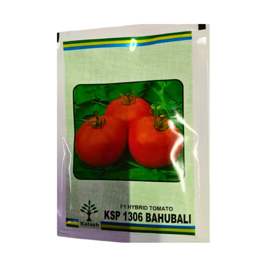 KSP 1306 Tomato Seeds - Kalash | F1 Hybrid | Buy Online at Best Price