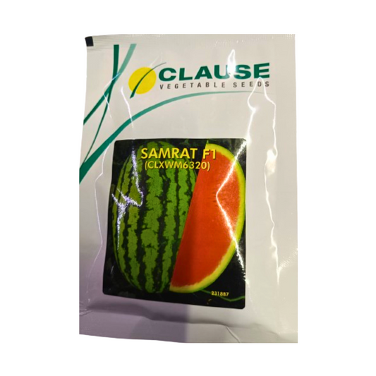 Samrat Watermelon Seeds - HM Clause | F1 Hybrid | Buy Online at Best Price