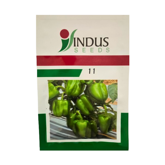 Indus 11 Capsicum Seeds | F1 Hybrid | Buy Online at Best Price