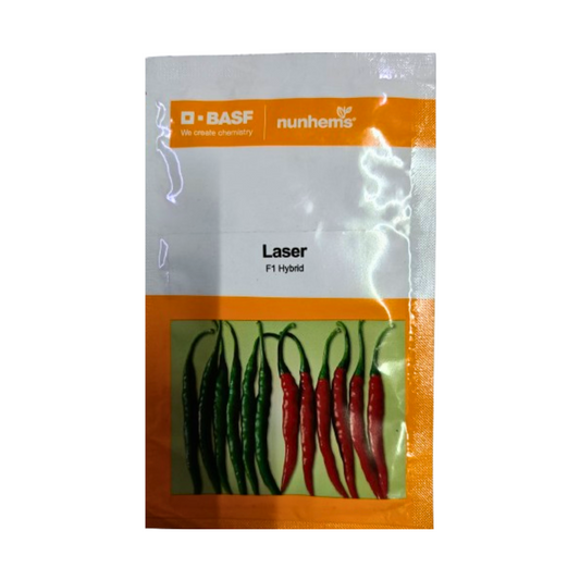 Laser Chilli Seeds - Nunhems | F1 Hybrid | Buy Online at Best Price