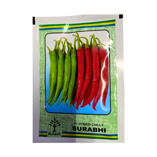Surabhi (KSP-1395) Chilli Seeds - Kalash | F1 Hybrid | Buy Now Online