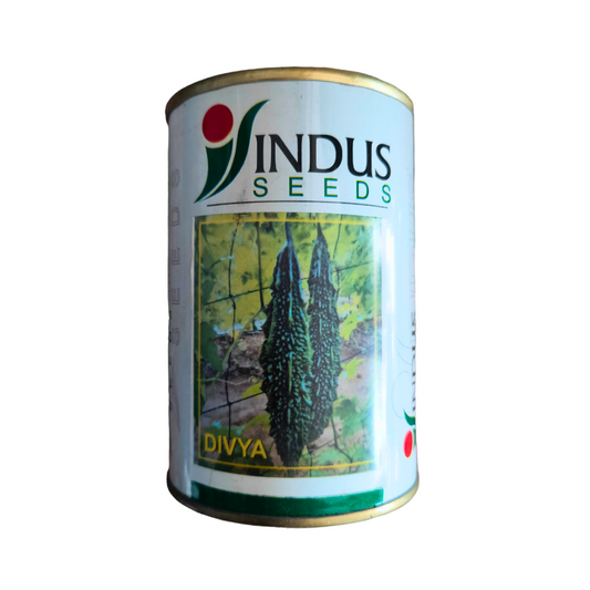 Divya Bitter Gourd Seeds - Indus | F1 Hybrid | Buy Online at Best Price