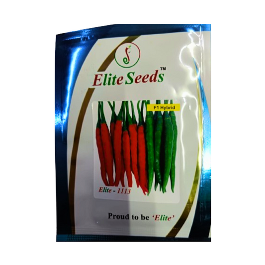 Elite - 1113 Chilli Seeds | F1 Hybrid Mirchi | Buy Online at Best Price