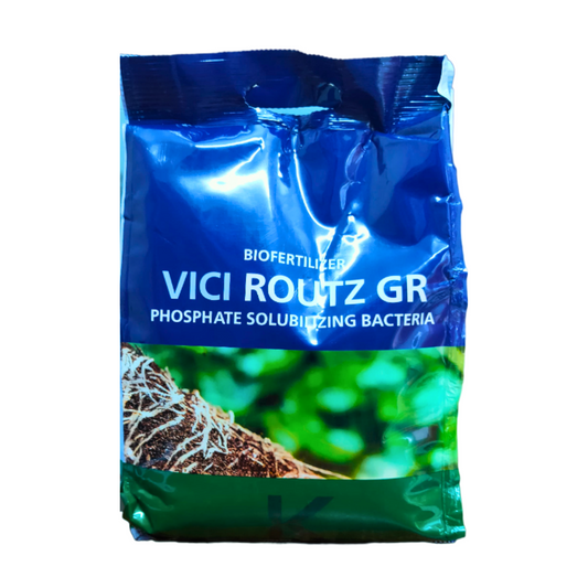 Vici Routz GR PSB Biofertilizer