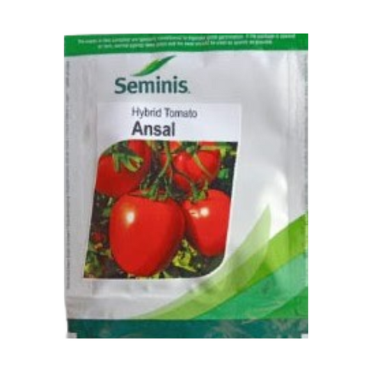 Ansal Tomato Seeds - Seminis | F1 Hybrid | Buy Online at Best Price