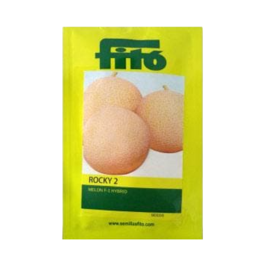 Rocky 2 Musk Melon Seeds - Fito | F1 Hybrid | Buy Online at Best Price