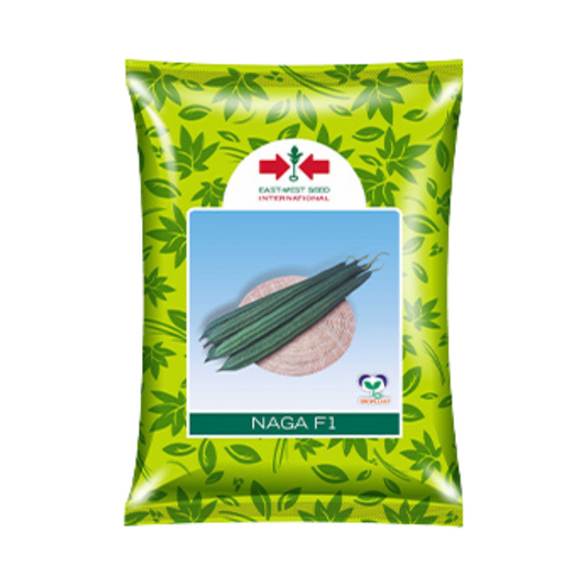 Naga Ridge Gourd Seeds - East West | F1 Hybrid | Buy Online at Best Price