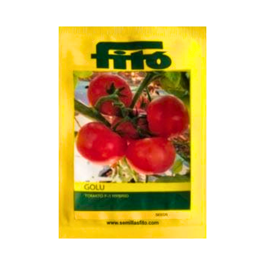 Golu Tomato Seeds - Fito | F1 Hybrid | Buy Online at Best Price