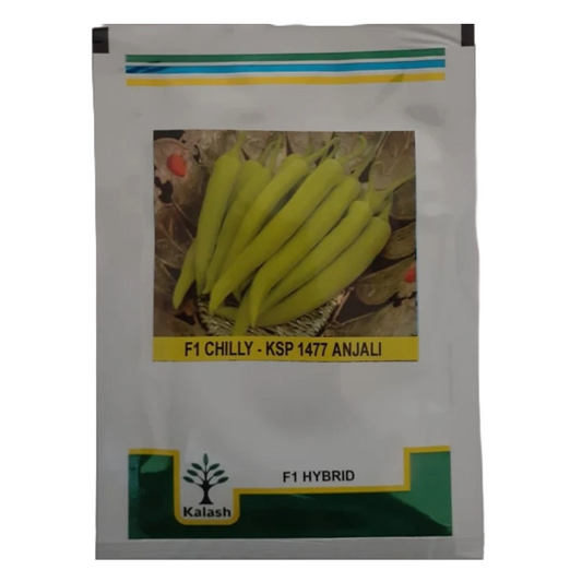 KSP 1477 Anjali Chilli Seeds - Kalash | F1 Hybrid | Buy at Best Price
