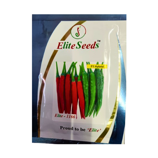 Elite - 1166 Chilli Seeds | F1 Hybrid Mirchi | Buy Online at Best Price