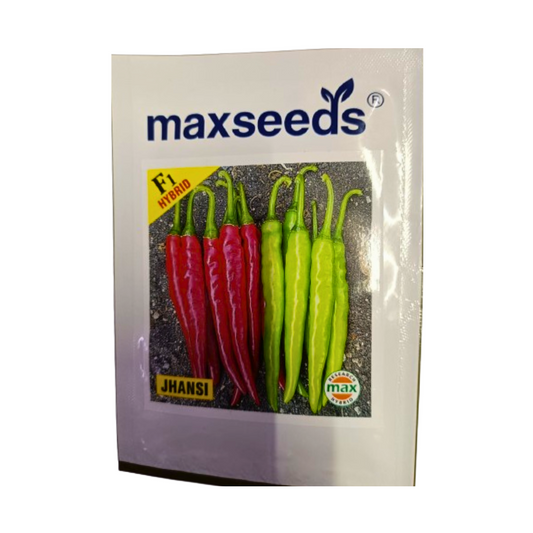 Jhansi Chilli Seeds - Max Seeds | F1 Hybrid | Buy Online at Best Price