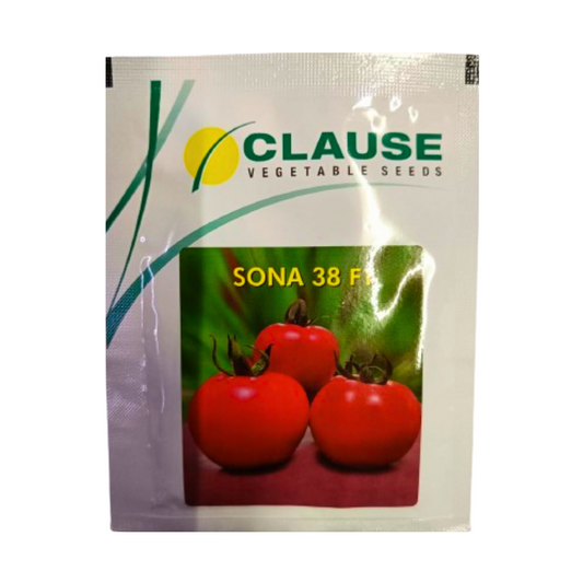 Sona 38 Tomato Seeds - HM Clause | F1 Hybrid | Buy Online at Best Price