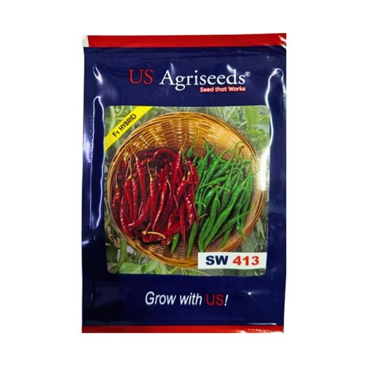 SW 413 Chilli Seeds - US Agriseeds | F1 Hybrid | Buy Online at Best Price