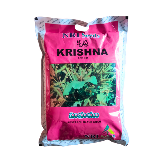 Krishna (TBG 104) Black Gram Seeds - NRI | F1 Hybrid | Buy Online at Best Price