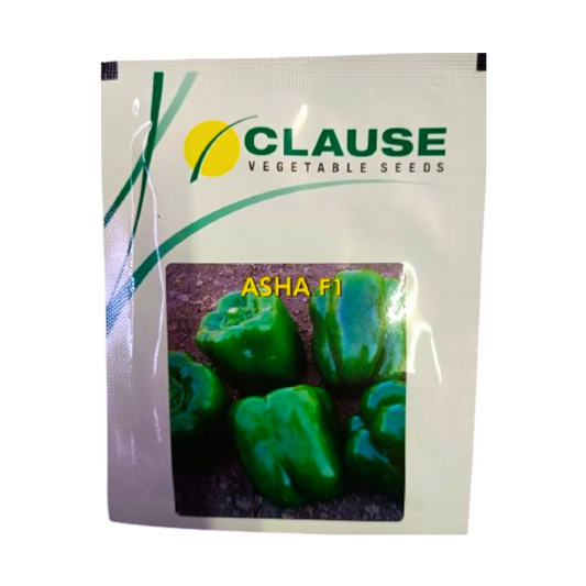 Asha Capsicum Seeds - HM Clause | F1 Hybrid | Buy Online at Best Price