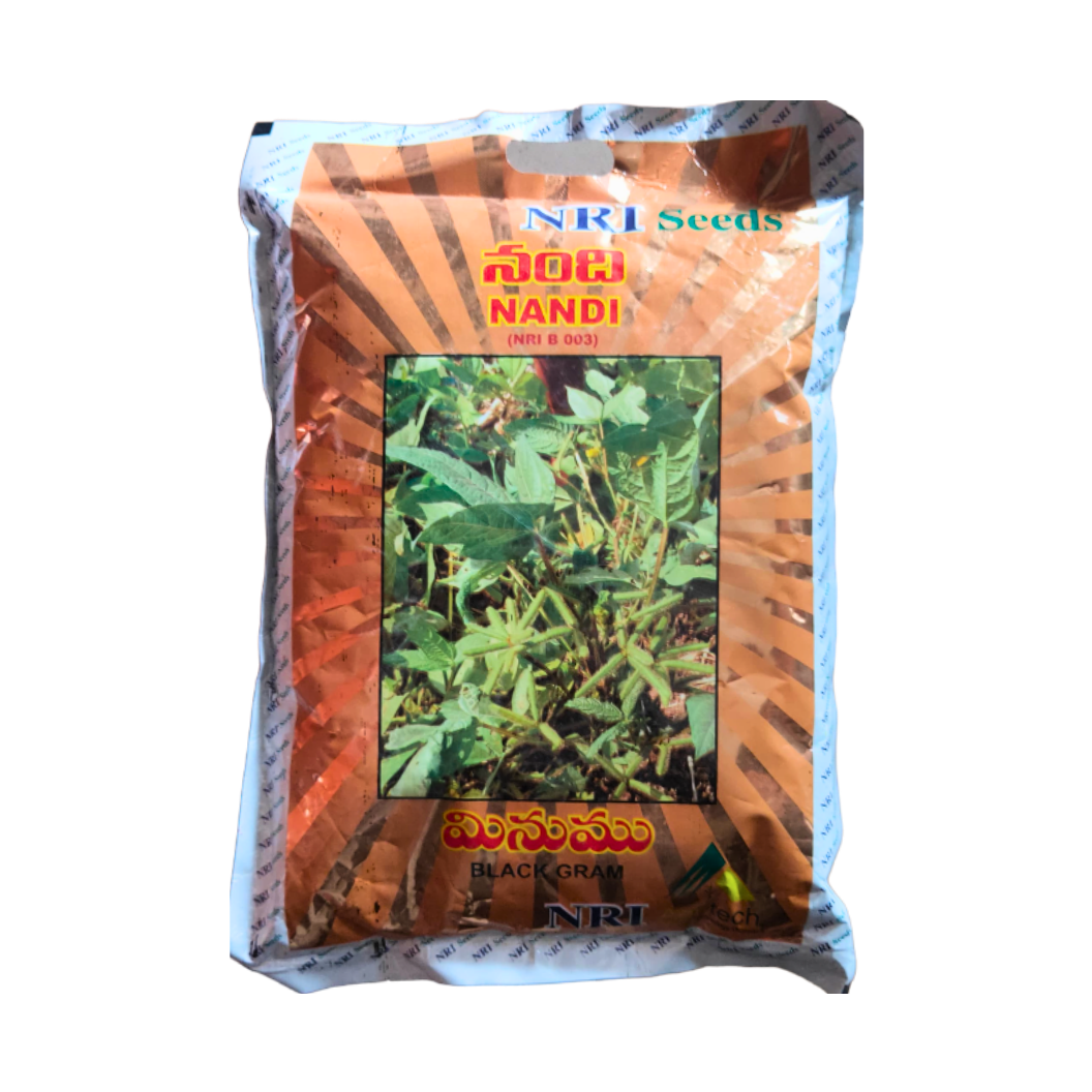 Nandi Black Gram Seeds - NRI | F1 Hybrid | Buy Online at Best Price