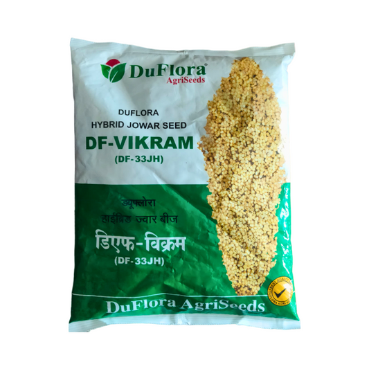 DF-Vikram(DF 33 JH) Jowar Seeds - Duflora | F1 Hybrid | Buy Online at Best Price