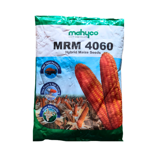 MRM-4060 Maize Seeds - Mahyco | F1 Hybrid | Buy Online at Best Price