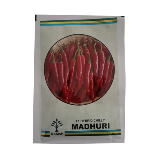 Madhuri Chilli Seeds - Kalash | F1 Hybrid | Buy Online at Best Price