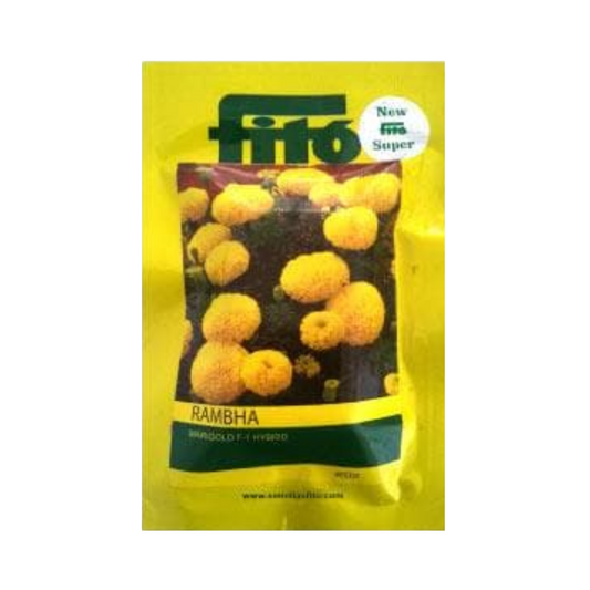 Rambha Marigold Seeds - Fito | F1 Hybrid | Buy Online at Best Price