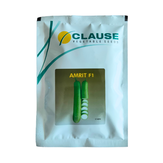 Amrit Bottle Gourd Seeds - HM Clause | F1 Hybrid | Buy Online at Best Price