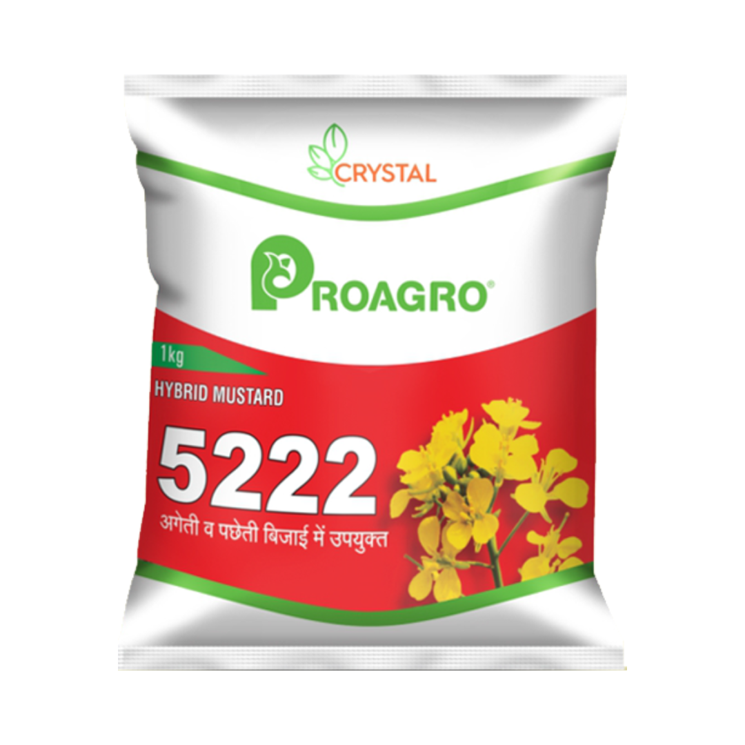 Crystal 5222 Mustard Seeds