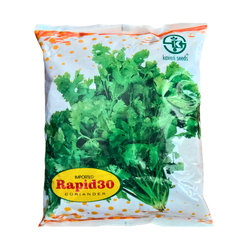 Rapid 30 Coriander Seeds - Kaveri | F1 Hybrid | Buy Online at Best Price