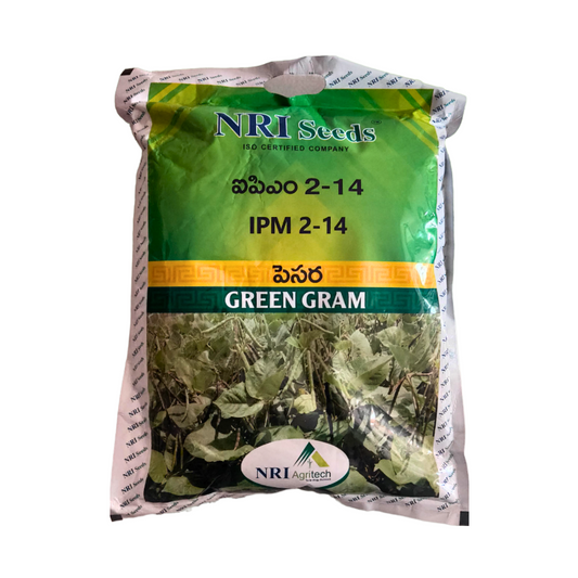 IMP2-14 Green Gram Seeds - NRI | F1 Hybrid | Buy Online at Best Price