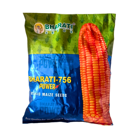 Bharati 756 Power Maize Seeds - Yaganti Agro Tech | F1 Hybrid | Buy Online at Best Price