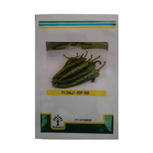 KSP-1593 Chilli Seeds - Kalash | F1 Hybrid | Buy Online at Best Price