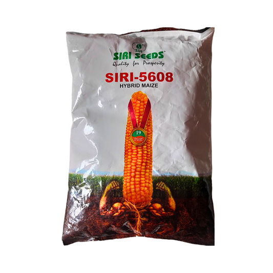 Siri 5608 Maize Seeds - Siri | F1 Hybrid | Buy Online at Best Price