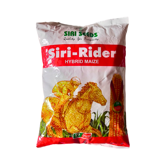 Siri Rider Maize Seeds - Siri | F1 Hybrid | Buy Online at Best Price