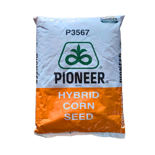 P-3567(Lumizen) Maize Seeds - Pioneer | F1 Hybrid | Buy Online at Best Price