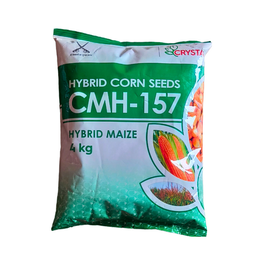 CMH-157 Maize Seeds - Crystal | F1 Hybrid | Buy Online at Best Price