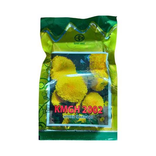 KMGH 2002 Marigold Seeds - Kaveri | F1 Hybrid | Buy Online at Best Price