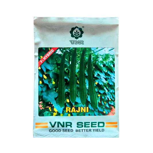 Rajni Ridge Gourd Seeds - VNR | F1 Hybrid | Buy Online at Best Price