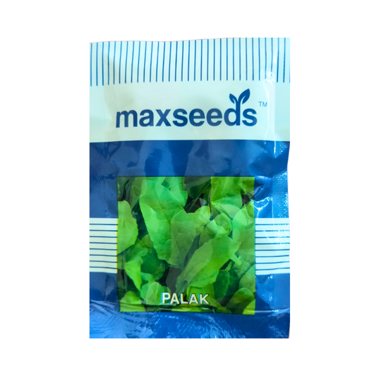 Palak Seeds - Max | F1 Hybrid | Buy Online at Best Price