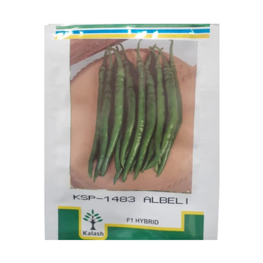 KSP-1483 Albeli Chilli Seeds - Kalash | F1 Hybrid | Buy at Best Price