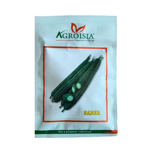 Ranna Ridge Gourd Seeds - Agroisia | F1 Hybrid | Buy Online at Best Price