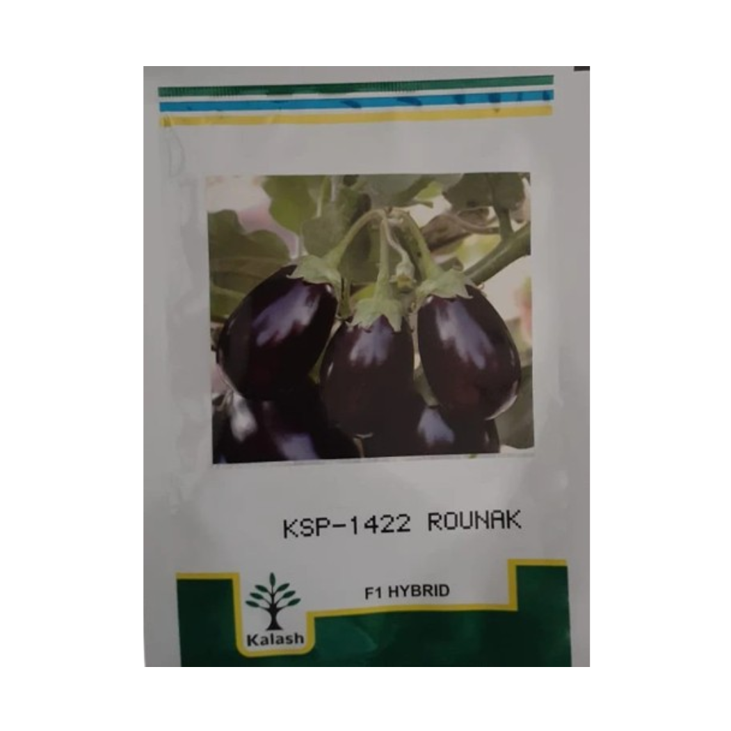 KSP-1422 Rounak Brinjal - Kalash | F1 Hybrid | Buy Online at Best Price