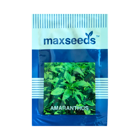 Amaranthus Seeds - Max | F1 Hybrid | Buy Online at Best Price