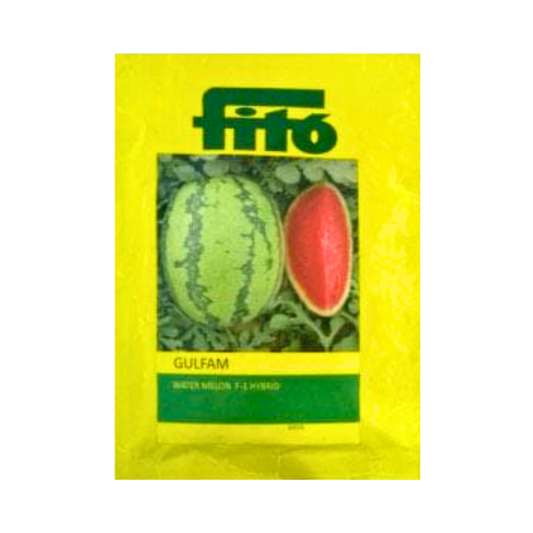 Gulfam Watermelon Seeds - Fito | F1 Hybrid | Buy Online at Best Price