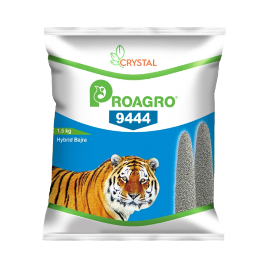 ProAgro 9444 Bajra Seeds - Crystal | F1 Hybrid | Buy Online at Best Price