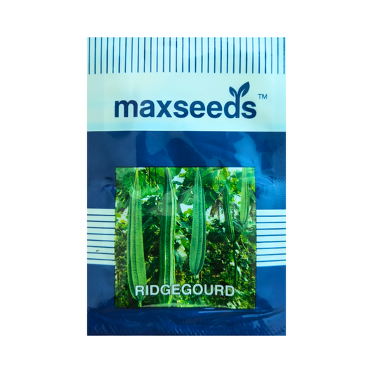 Ridge Gourd Seeds - Max | F1 Hybrid | Buy Online at Best Price