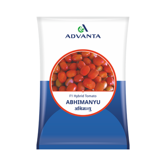 Abhimanyu Tomato Seeds - Advanta | F1 Hybrid | Buy Online at Best Price