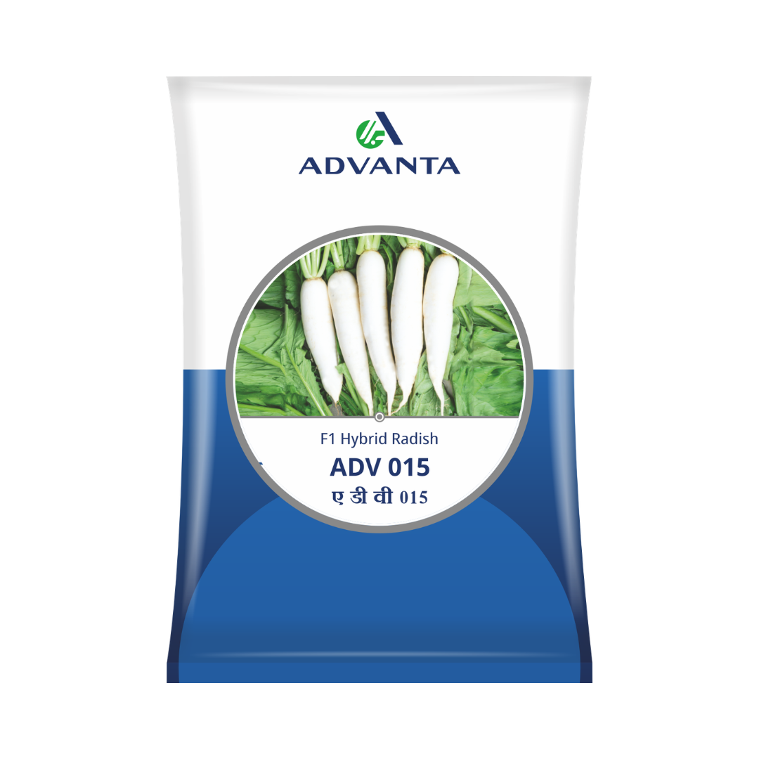 ADV 015 Radish Seeds - Advanta | F1 Hybrid | Buy Online Now