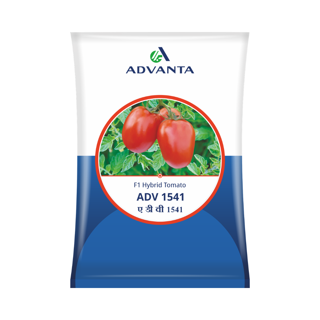 ADV 1541 Tomato Seeds - Advanta | F1 Hybrid | Buy Online at Best Price