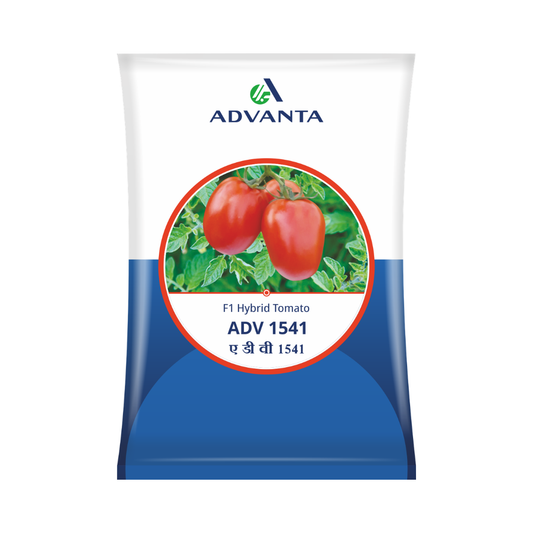 ADV 1541 Tomato Seeds - Advanta | F1 Hybrid | Buy Online at Best Price